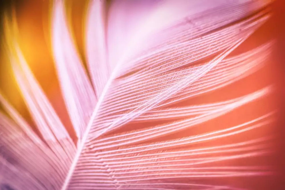 Nabídka Práce Nymburk