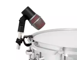 Jak Se Zbavit Červů V Bytě