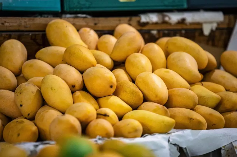 Co Obsahuje Mango